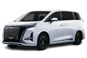 Picture for category DENZA D9 DM-i